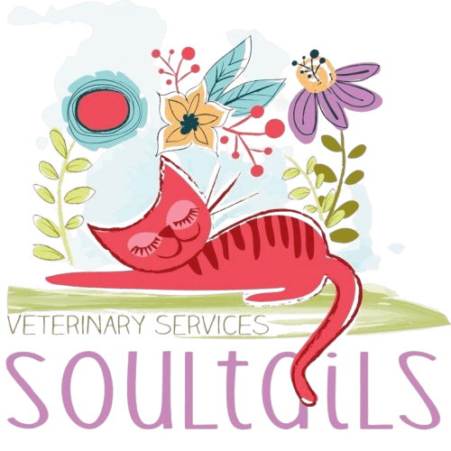 Soultails logo